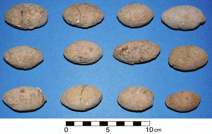 Peter M. Fischer & Teresa Bürge The New Swedish Cyprus Expedition 2012 69 Fig. 18. Clay sling bullets (photograph by T. Bürge).