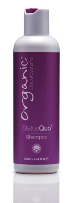 Status Quo Conditioner Maintains healthy hair s natural protein and moisture balance levels.