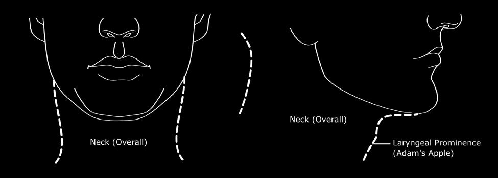 330 FIG 15 Neck 331 332 333 334 335 336 4.3.14 Facial Hair Facial hair refers to the hair on the face typically covering the cheeks, chin/jaw, upper and lower lip, and neck of the face.