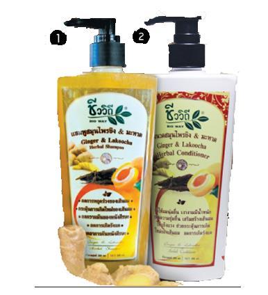 Hair products GINGER &