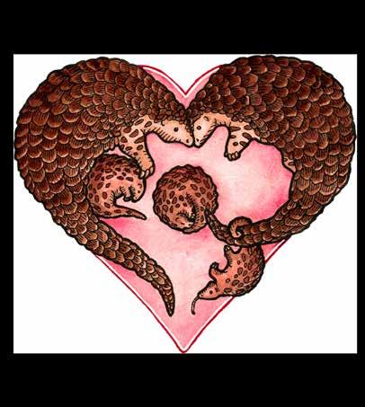 FEBRUARY HALF TERM Nature in Focus: Pangolin Day!
