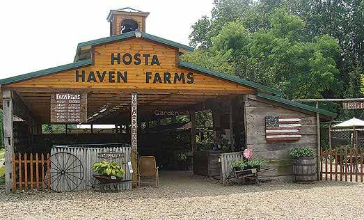 About the company For anyone seeking plants for that hard-to-fill shade garden, Hosta Haven Farms is heaven.