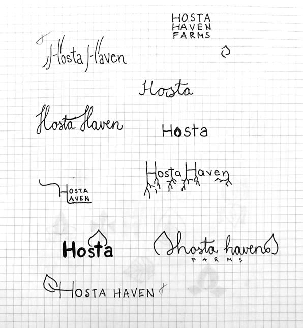 Sketches 03 HOSTA HAVEN