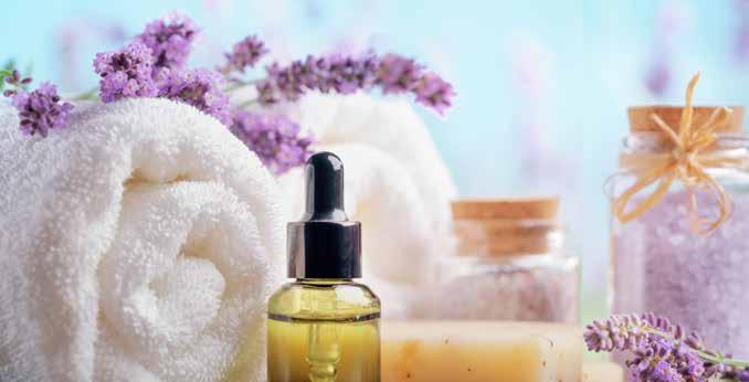 3. The Natural & Organic Cosmetics (NOC) industry With initial explanations out of the way, Beautyworld Middle East takes a look at the NOC industry which has stormed into the beauty and personal