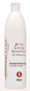 Personal Color After Color Shampoo What is it : very gentle shampoo ideal for hair after color treatment.