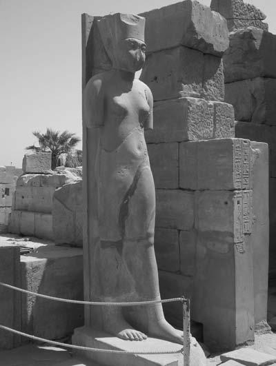 78 THE BOY BEHIND THE MASK Figure 11 Ankhesenamun as Amunet. Karnak Temple. Photograph courtesy of Dave Thompson. of gestation.