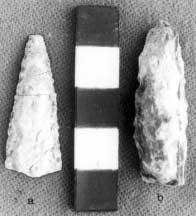 0 Wood Two large leaf blades of were recovered at a depth of 30-0 cm (Fig.. a and b). They are bifacially chipped and without points; one has evidence of asphaltum on the base.