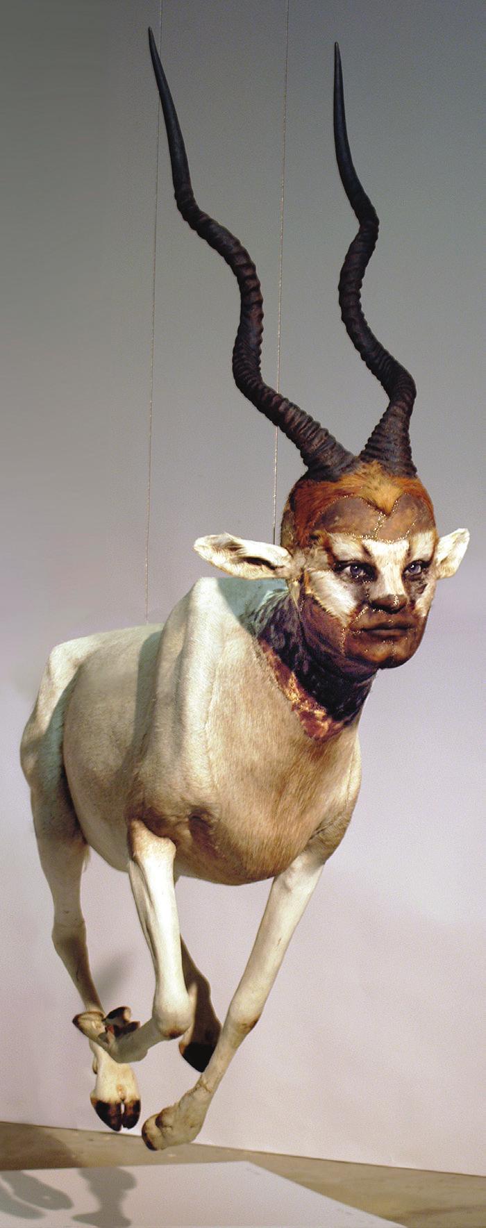 KATE CLARK MYSTERIOUS PRESENCE 20 January - 10 April 2016 Kate Clark uses the centuries-old craft of taxidermy to sculpt humanlike faces onto bestial forms.