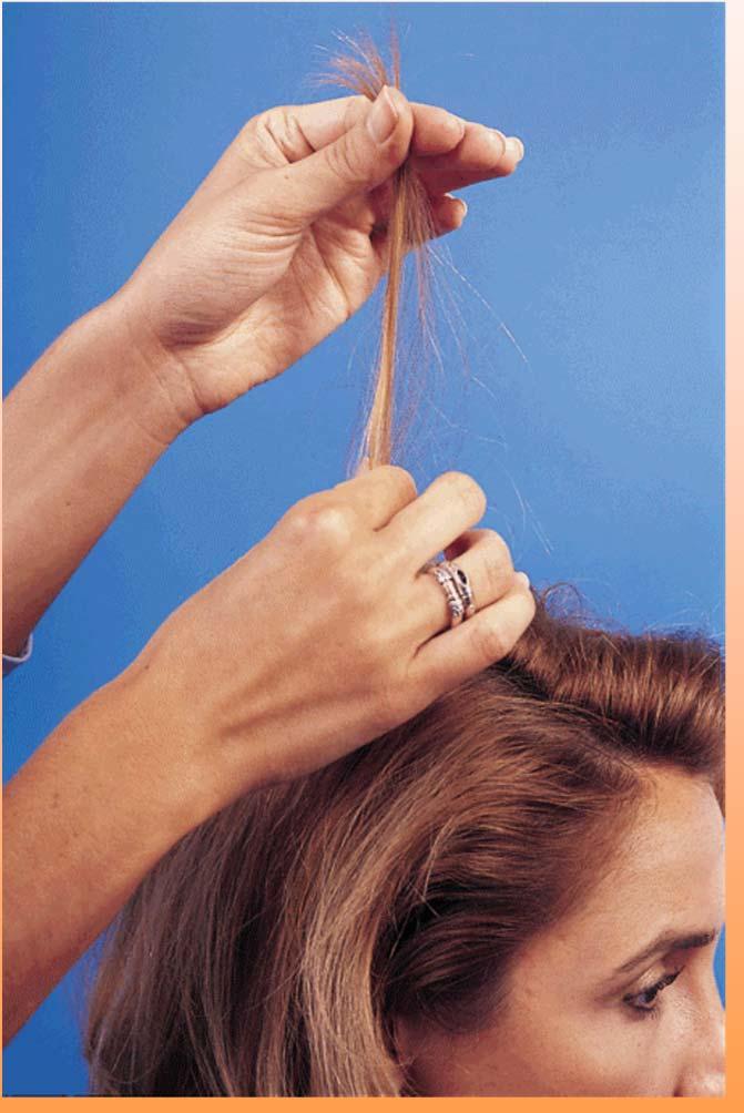 POROSITY TEST Hold end of hair; slide fingers down on hair toward scalp.