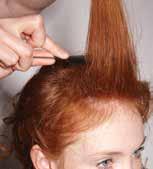 5 Sliding your tail comb under the bottom hair, score a line up to your