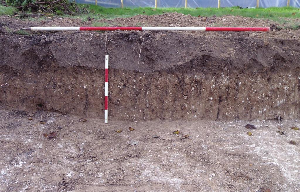 Plate 1: Profile of topsoil