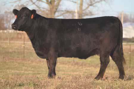 688 FJH COUNTESS 115H UNGER MA X AN AI d 04.28.13 to GOET I-80. Friction has done it again here!