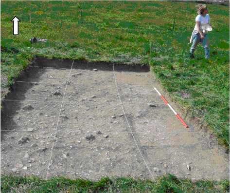 Candidate No: 63702 Trench 1 The trench was sub-divided into fifteen one metre grids, delineated by string. The immediate top soil was removed (Contexts 101-115).