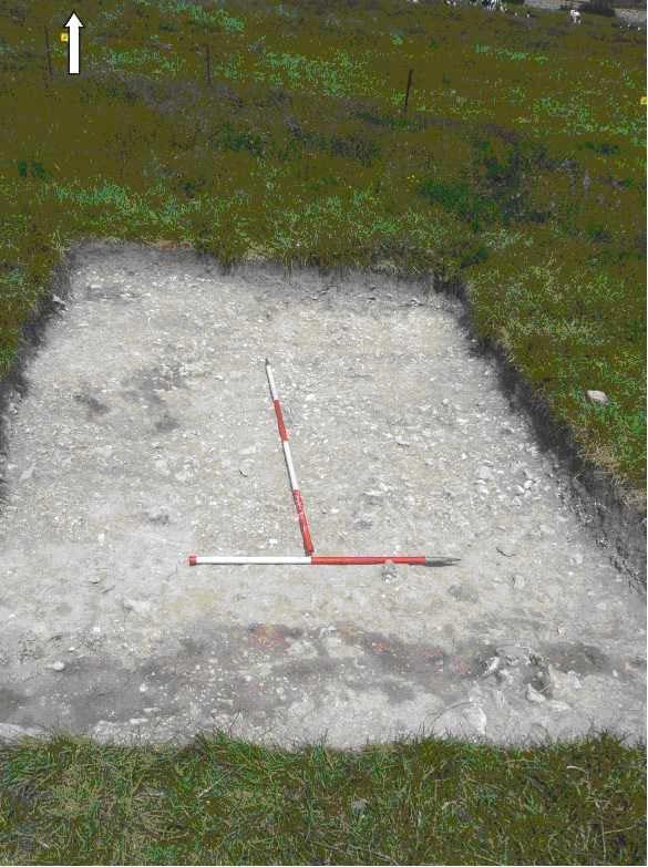Candidate No: 63702 The chalky loam and flint nodules were removed and the chalk platform on which the site stands was revealed. Several features were noted and are discussed in detail below.