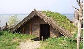 The Vikings took their goods to market to sell or trade. People could buy anything from wolf-skins to apples.