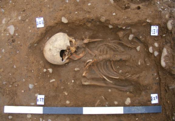 The presence and location of the cranium were recorded (and labelled as SK 1062), and this individual was left in situ.