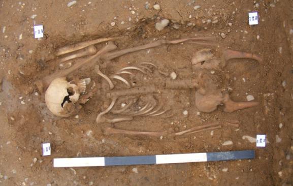 quite fragmented. The legs of the individual were truncated and absent. The burial was extended, supine, and oriented west to east.