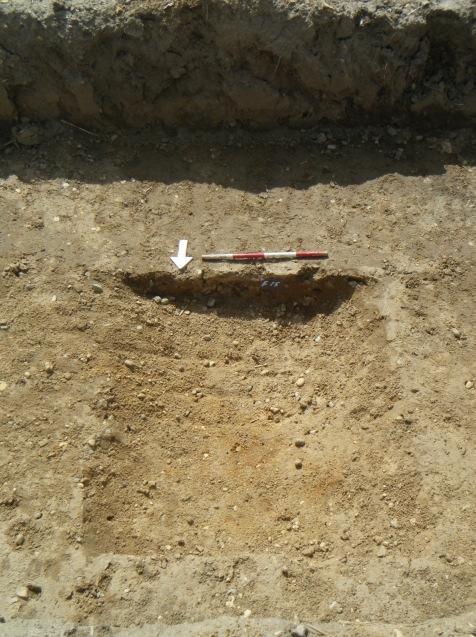 Trench 19: summary T19, located in the south-eastern corner of Field 1, contained a prehistoric ditch