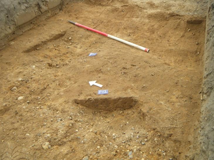 Trench 38: summary T38 on the northern side of Field 3 contained a natural pit F2, probably a treethrow pit. Trench 38: contexts and dating F2 tree-throw pit?