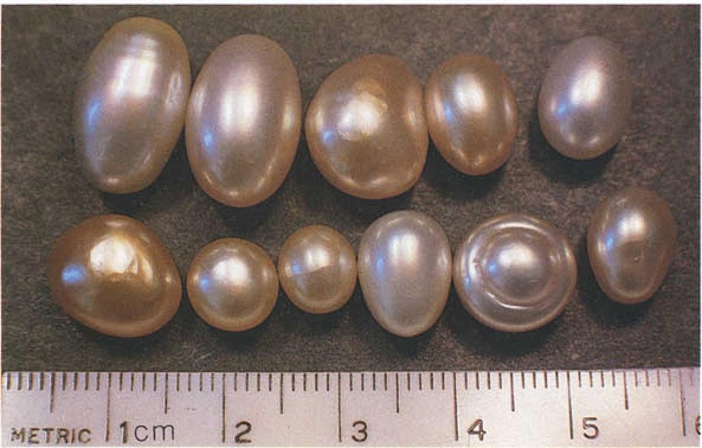 J.Gemm., 1984, XIX, 2 115 FIG. 20 11 non-nucleated cultured pearls. A microscopic examination unveiled the true nature of the object.