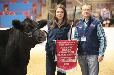 Reserve Champion Yearling (Open Division) Prince Albert Exhibition -