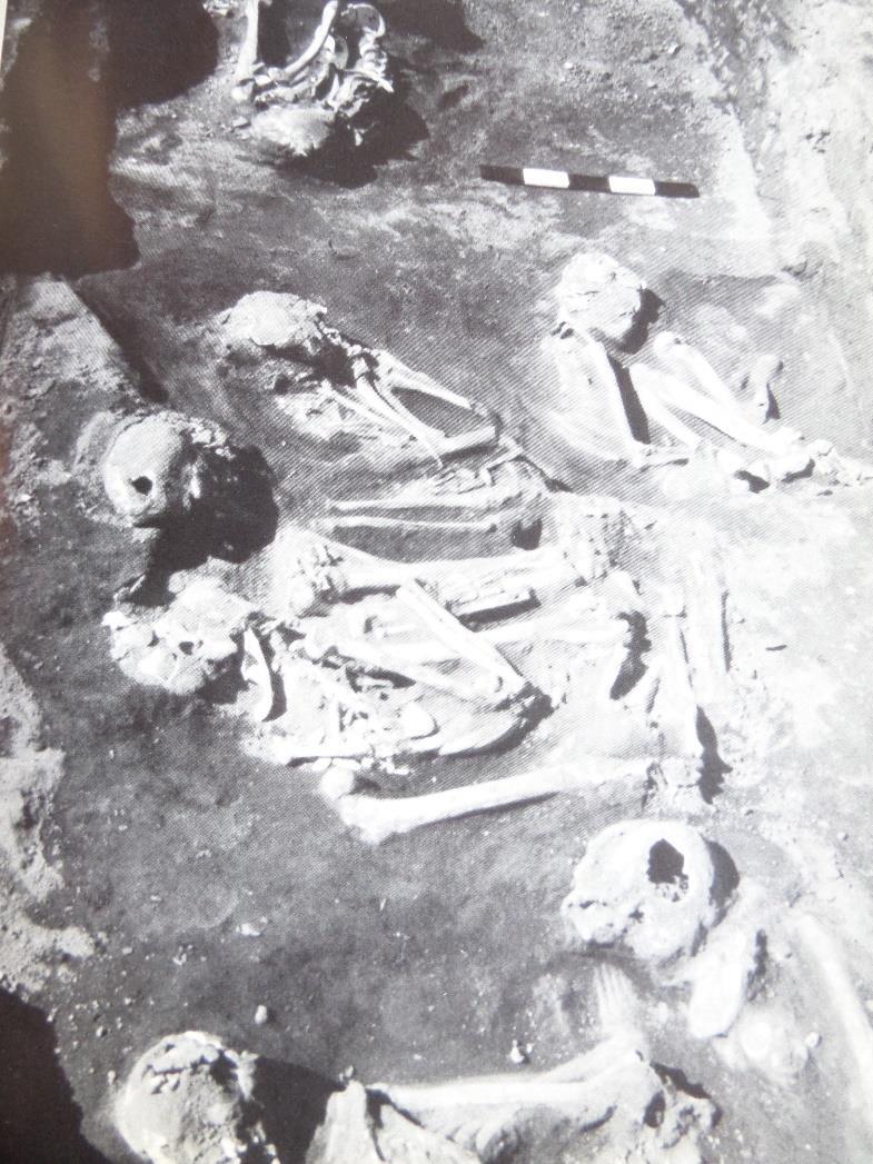(neonate), on the right burials
