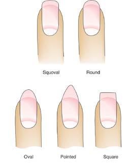 CLIENT CONSULTATION Choosing Nail Shape Shape of hands Length of fingers Shape of