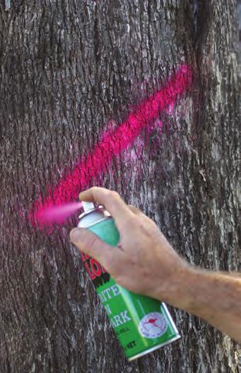 Spot Marking Paint Call for pricing on bulk buy purchases Hand held marking paint for flexible use.
