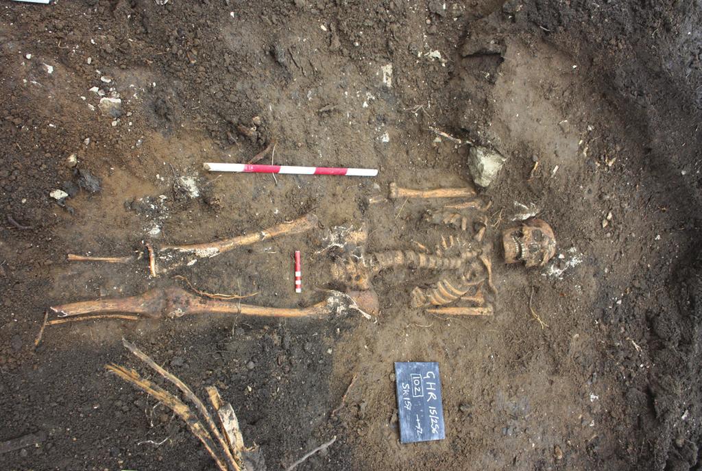 Plate 1. Skeleton 151 in grave 100, looking west, Scale: 0.5m.