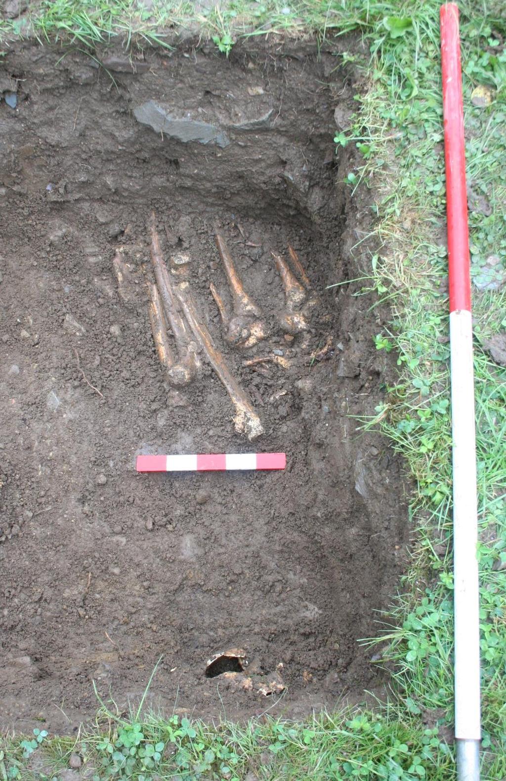 Plate 22: Trench 4, skeletal remains C413 & 414,