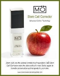 Scandinavian Skincare: Stem Cell Corrector Product Description: The fascinating thing about stem cells is their natural regeneration ability, which make them the natural architects of reparation.