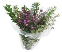 17218 * NOT PICTURED JUST ADD FLOWERS 12 STEMS WET PACK 10 ITEM #