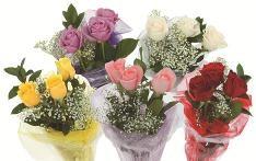 726493-16323 1/2 Dozen ROSE With gyp and greens 50%