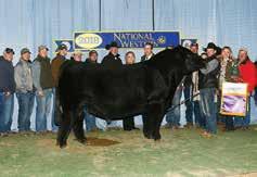 Zeis Simmentals CNS Pays to Dream T759 SC Pay The Price C11 LLSF Ura Baby Doll Welshs Dew It Right Zeis Juanada B444 Juanada X400 9.9 1.8 64.5 91.6 16.5 108.1 64.