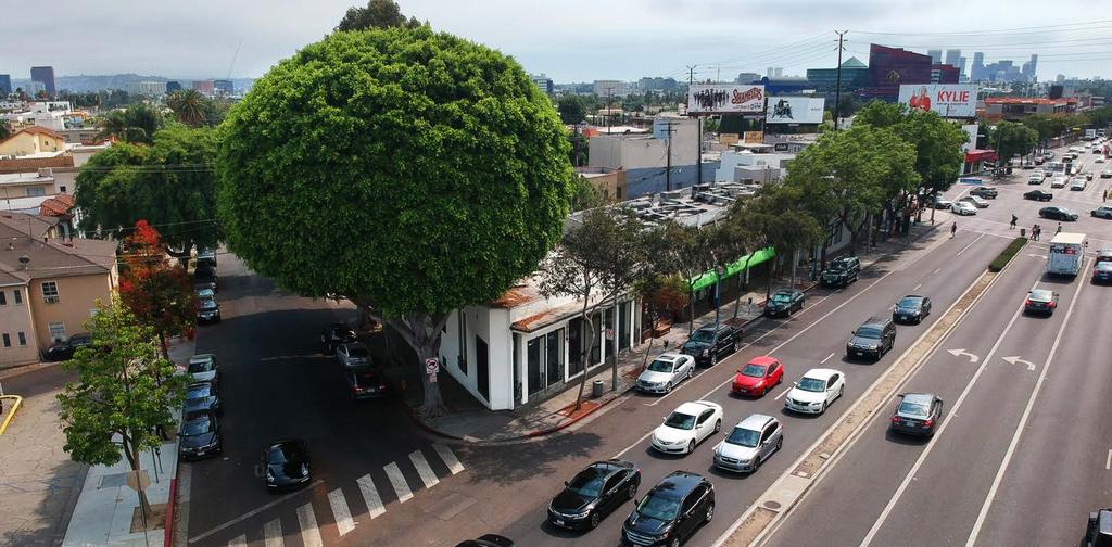 EXECUTIVE SUMMARY 8460BLVSANTA MONICA DWEST HOLLYWOOD, CA A RARE OPPORTUNITY TO ACQUIRE A SANTA MONICA BOULEVARD JEWEL BOX IN WORLD-RENOWNED WEST HOLLYWOOD, CA Marcus & Millichap has been selected to