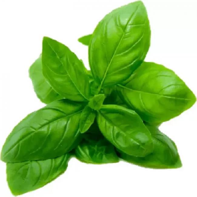 Example Ingredients Methyl Eugenol o Methyl eugenol is found naturally in Basil and Rose o It s hazardous under CLP o It s not hazardous for transport o It is