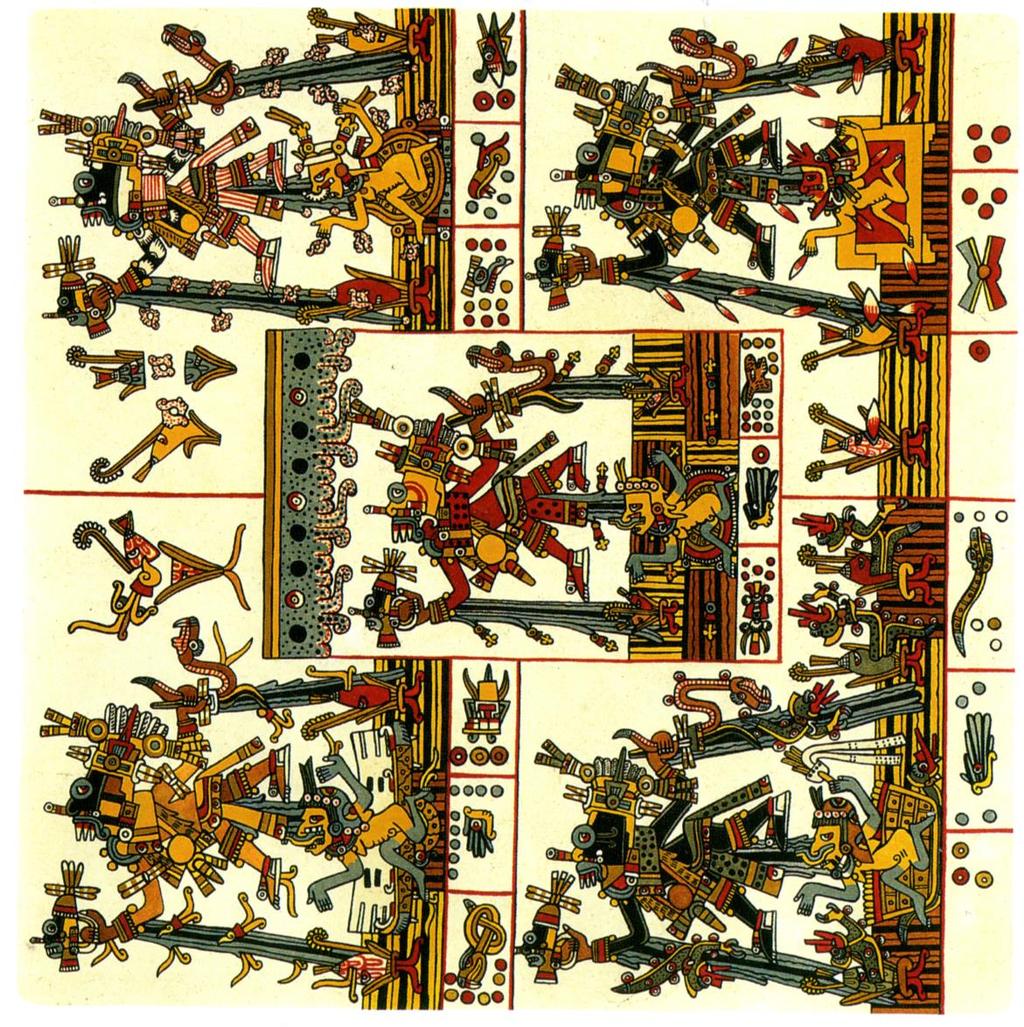 Figure 42: Codex