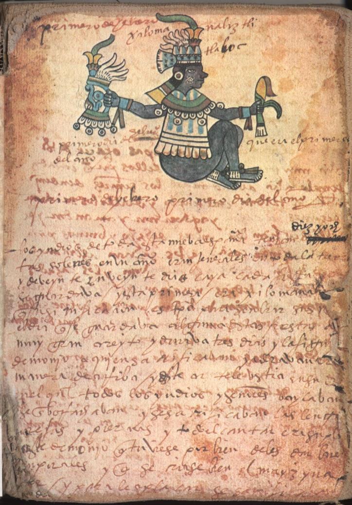 Figure 28: Codex