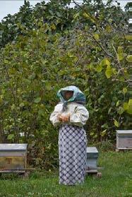 Wien Beekeeper from the series