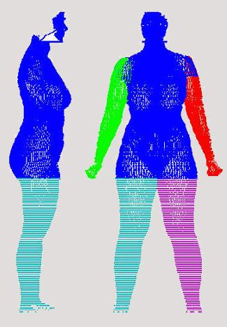 Top Hourglass: Bust is larger than hips; waist is well-defined