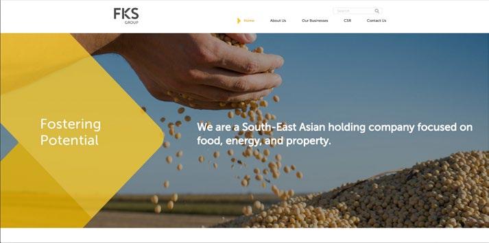 FKS Group Web Design