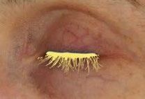 LASH SERUM AQ Lash is the safe and natural approach to restoring the health and vitality of eyelashes and eyebrows,