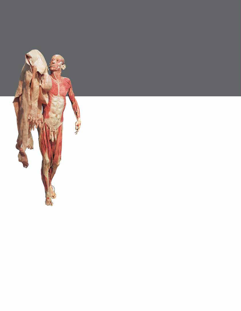 ART IN SCIENCE The Beauty of the Body LEARN WITH BODY WORLDS Understanding how the body works is important in many professions.