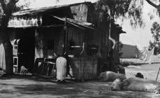 photographs from Bror Kronstrands journey Vera Cruz - Avenue of the Dead, via Mexico City, 1924 16 color photgraphs + 1