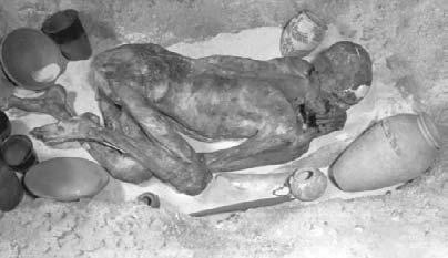 What Are Mummies? A mummy is a preserved corpse. Normally, a dead body decays very quickly. Bacteria in the air start decomposing body cells immediately after death.
