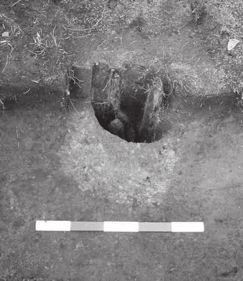 Figure 9. Example of one of the postholes (Feature 1) with remains of a wooden post.