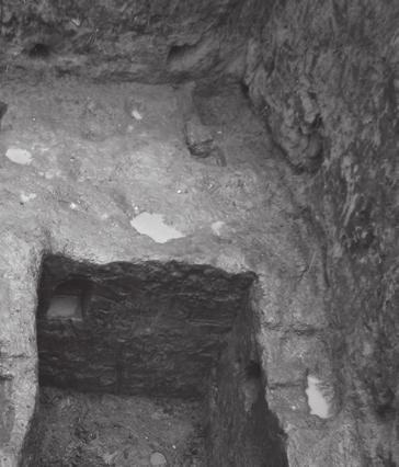 F24 Limit of excavation Cellar