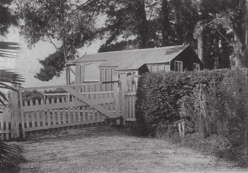 Figure 5. Photograph of the post office dating to 1900 (Katikati Library Archives 43).