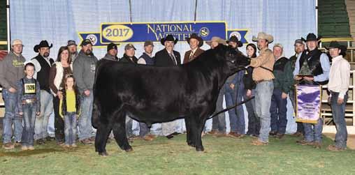 Customer Success with Shoal Creek Sires From all of us at Shoal Creek, congratulations to Cloud Cattle Co.