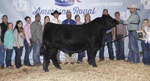 SC Pay The Price and SC Pay Back were standouts here on sale day and continued to impress breeders and judges as they dominated in the show ring last year.